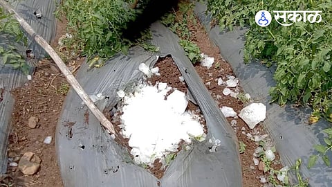 A lump of ice weighing over 15 kg fell from the sky into a farm.