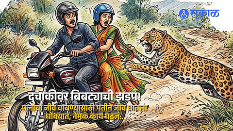 Maharashtra Leopard News Female Leopard Attacks Woman Riding Pillion on Bike Husband Tries to Protect Wife Near Pathare Village