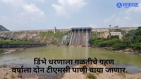 Water leakage from the wall of Dimbhe Dam in Ambegaon taluka has raised concerns over water conservation and irrigation planning.