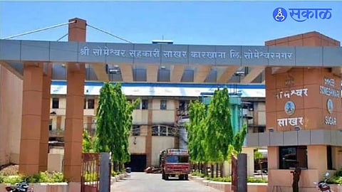 Someshwar Election Result Today 83 Candidates Await Verdict After High Voter Turnout of 84 Point 25 Percent Among Members
