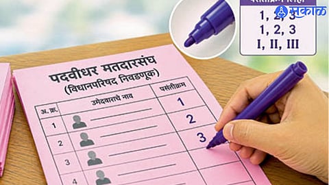 Voters must mark their preferences on pink ballot papers using a designated purple pen.