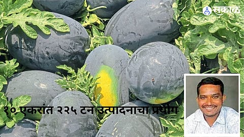 Farmer Pradeep Nirpal Expects 225 Tonnes of Watermelon From 10 Acres Through Intercropping