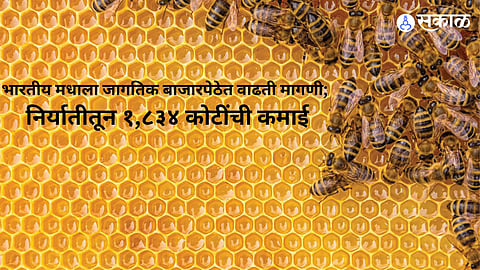 India exported 114,570 tonnes of honey in 2025-26, earning ₹1,834 crore and creating opportunities for beekeeping-based rural businesses.