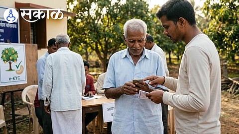 Sindhudurg orchard farmers government relief scheme