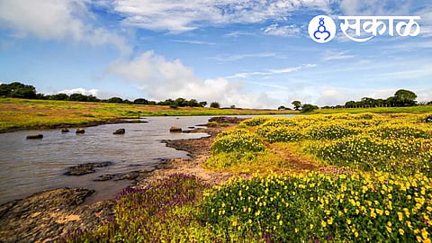 Kas Plateau flower season 2026