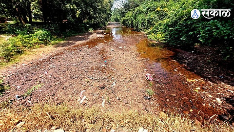 Maharashtra Records 34 Percent Less Rainfall This Year Trigger One Drought Criteria Put Agriculture and Farmers Under Pressure