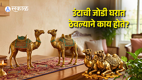 Camel Statue Vastu Tips: Boost Career Growth & Job Promotion