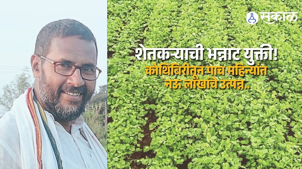 Farming Success Story : पावसाने खरीप वाया गेला, कोथिंबिरीने तारले! सादीक सय्यद यांना अडीच एकरांसाठी पाच लाखांची बोली
