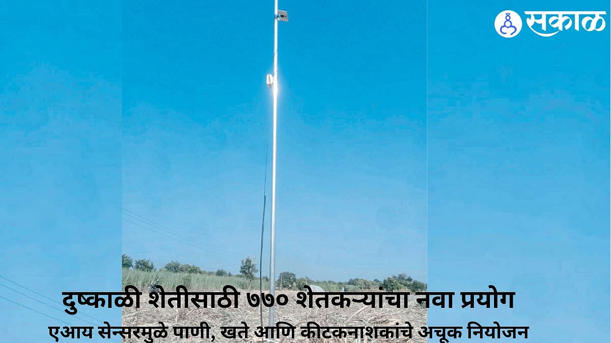Water Conservation: दुष्काळी धाराशिवला ‘एआय’चे वरदान! उसासाठी पाण्याचा भरमसाठ उपसा टळला; ७७० शेतकऱ्यांच्या प्रयोगाने बदलले चित्र