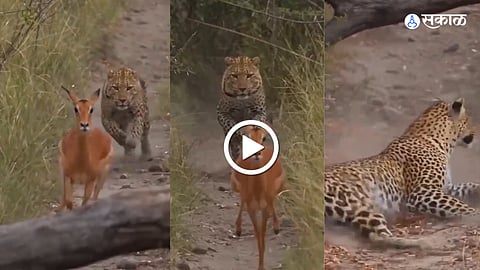Viral Video