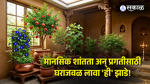 Vastu Tips for Home Best Auspicious Plants for Wealth & Peace