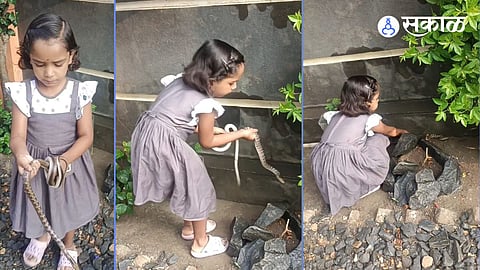 Five Year Old Little Girl Saved a Snakes Life Shrinidhi Deshmukh