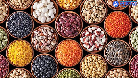 The proposed Pulse Protein Park in Nagpur aims to promote advanced pulse processing and plant-based protein production through a planned ₹500 crore investment.