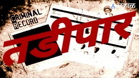 Tadipaar