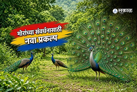 Madhya Pradesh Chief Minister Mohan Yadav announces a peacock conservation project and development initiatives ahead of Sinhastha 2028.
