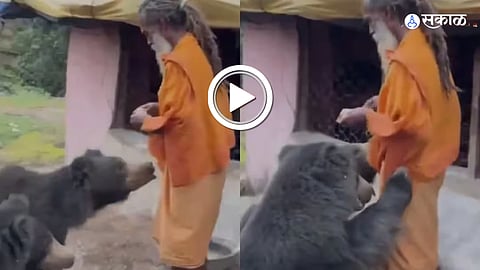 Saint Feeds Biscuits to Two Bears 