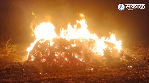 Soybean Farm Fire