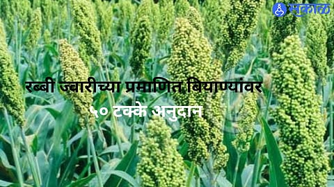Farmers can apply online for a 50% subsidy on certified Rabi sorghum seeds under the MahaDBT portal scheme for 2026–27.
