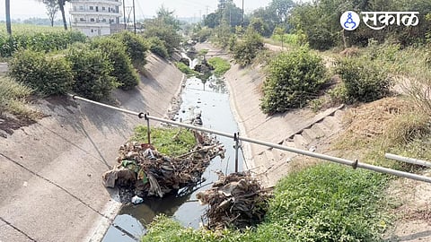 The right-bank canal is overgrown with trees and shrubs, filled with trash, and has run dry due to a lack of water.