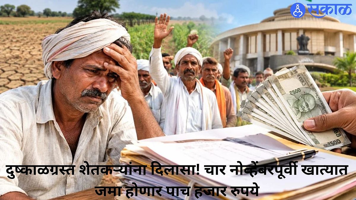 Farmers Relief : शेतकऱ्यांना मिळणार चार नोव्हेंबरपूर्वी पैसे ;पाच हजार रुपये थेट खात्यात जमा होणार
