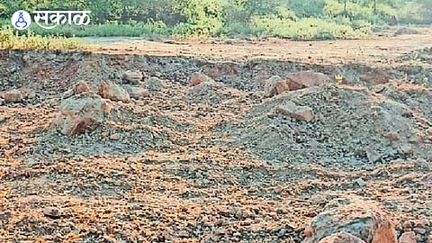theft of murum
