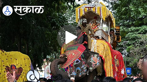 Shimoga Dasara Elephant Incident