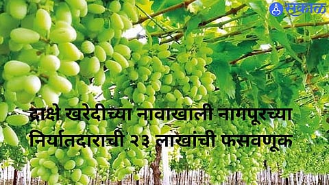 Nagpur exporter alleges fraud of over ₹23 lakh in a grape trade deal involving a Mumbai-based broker.