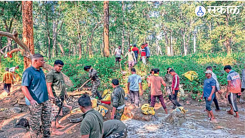Forest Department personnel and seasonal workers participate in water conservation work at Pench Tiger Reserve’s Chorbahuli forest range.