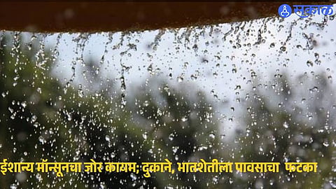 Heavy Rain in Sindhudurg Disrupts Paddy Harvesting and Blocks the Sawantwadi-Amboli Road