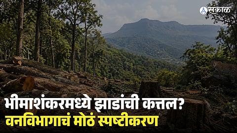 Bhimashankar Tree Cutting Controversy 