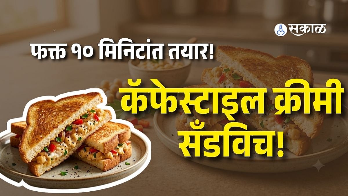 Creamy Chickpea Sandwich Recipe: ब्रेड, चणे आणि मेयोनीज! फक्त १० मिनिटांत बनवा कॅफेस्टाइल क्रीमी सँडविच; चव एकदम भन्नाट