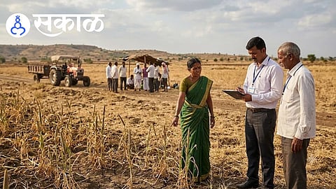 Sangli crop damage assessment report