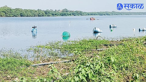 Ujani Dam News Unregulated Water Extraction Raises Concerns as 77 Percent Water Storage Remains in the Reservoir