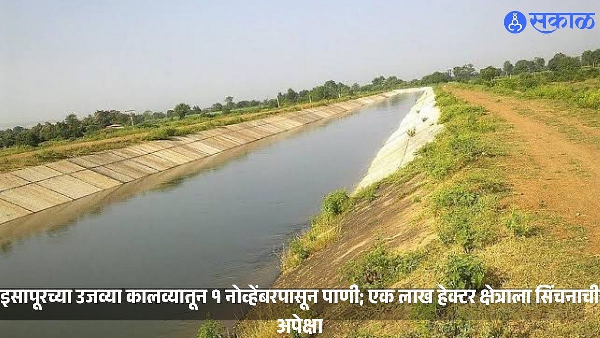 Isapur Right Canal Irrigation: ‘इसापूर’च्या उजव्या कालव्यातून १ नोव्हेंबरपासून आवर्तन, हंगामांत प्रत्येकी २ आवर्तने; १ लाख हेक्टर क्षेत्राला सिंचनाचा लाभ