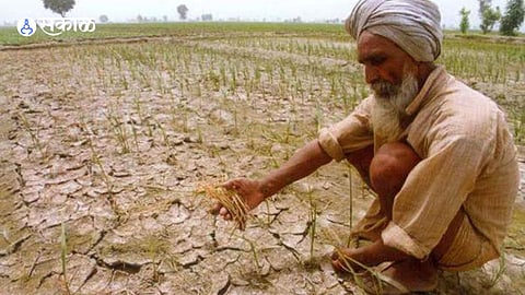 Maharashtra Drought