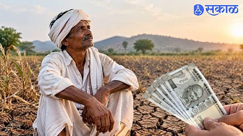 Maharashtra Crop Loss Compensation News Farmers Await Five Thousand Rupees Advance Aid With 33 Percent Damage Eligibility Criteria