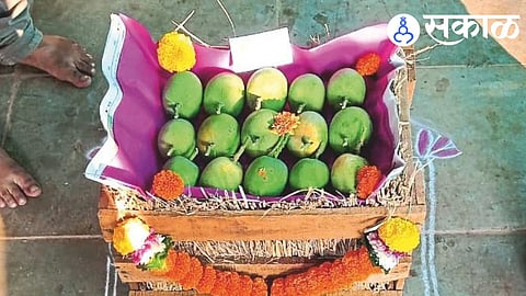 Ratnagiri farmer success story