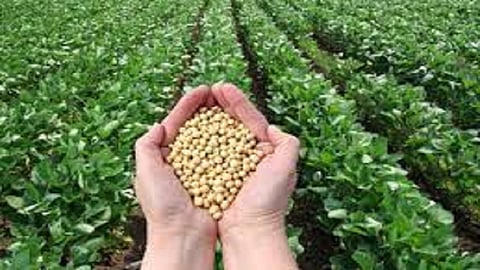 Central Government deregulated grains pulses oilseeds and other agricultural commodities outside the Market Committee premises  order  issued by the state government to the market committees 