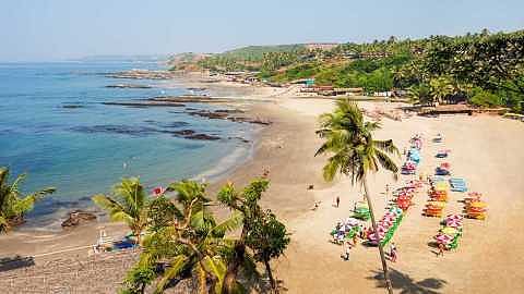 GOA