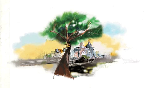 need for trees 