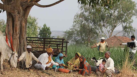Farmer