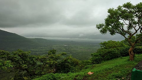 गौताळा अभयारण्य श्रावण सरींनी खुलून गेले 