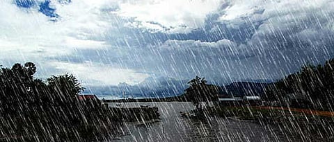 Rain