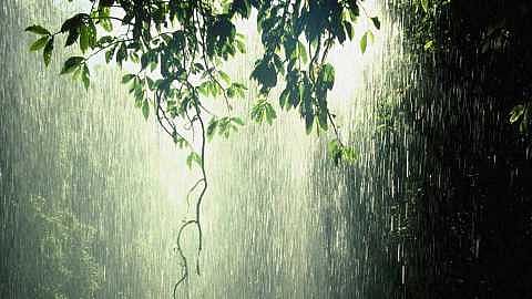 0rainsong