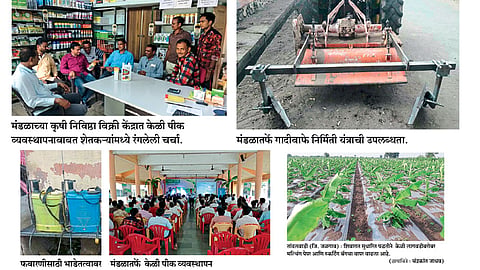 निर्यातक्षम केळी उत्पादन  हाच सर्वज्ञ मंडळाचा ध्यास
