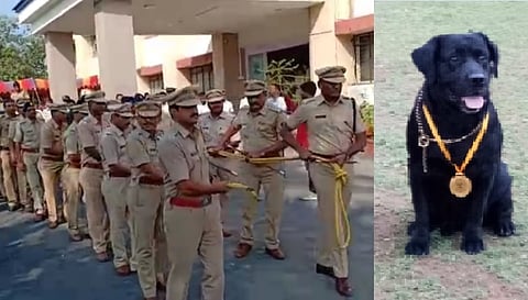 Beed Police News