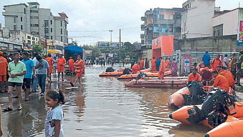 #SangliFloods  कृष्णा - वारणा नद्यांचा पूर लागला ओसरू 