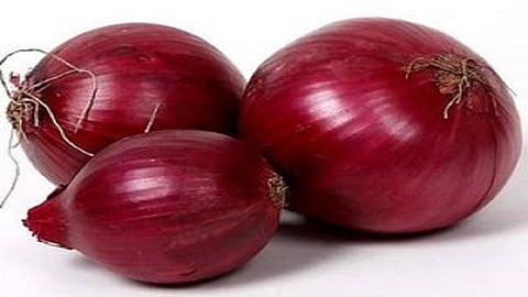 Onion
