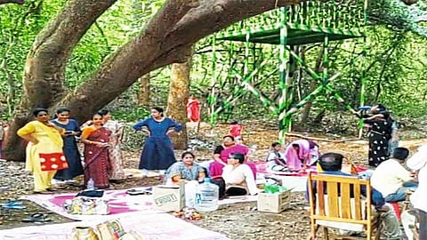 गोव्यातील पर्यटकांची तेरवण मेढेला पसंती