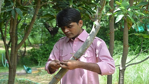 राष्ट्रपती भवनातील शेवटची चोरी; प्रणव मुखर्जींच्या एका शब्दाने 'त्याचे' आयुष्य बदलले 